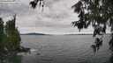 ./images/koeye/fitz-hugh/20260615/fitz-hugh20260615_150501M.jpg