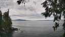 ./images/koeye/fitz-hugh/20260615/fitz-hugh20260615_151501M.jpg