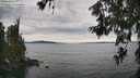 ./images/koeye/fitz-hugh/20260615/fitz-hugh20260615_152501M.jpg
