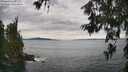 ./images/koeye/fitz-hugh/20260615/fitz-hugh20260615_153001M.jpg