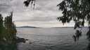 ./images/koeye/fitz-hugh/20260615/fitz-hugh20260615_153501M.jpg
