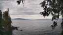 ./images/koeye/fitz-hugh/20260615/fitz-hugh20260615_154001M.jpg