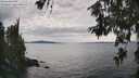 ./images/koeye/fitz-hugh/20260615/fitz-hugh20260615_154502M.jpg