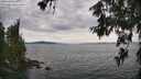 ./images/koeye/fitz-hugh/20260615/fitz-hugh20260615_160501M.jpg