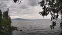./images/koeye/fitz-hugh/20260615/fitz-hugh20260615_161502M.jpg