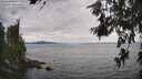 ./images/koeye/fitz-hugh/20260615/fitz-hugh20260615_162001M.jpg