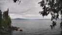 ./images/koeye/fitz-hugh/20260615/fitz-hugh20260615_162501M.jpg