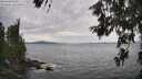 ./images/koeye/fitz-hugh/20260615/fitz-hugh20260615_163002M.jpg