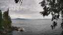 ./images/koeye/fitz-hugh/20260615/fitz-hugh20260615_164001M.jpg