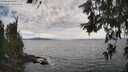 ./images/koeye/fitz-hugh/20260615/fitz-hugh20260615_165002M.jpg