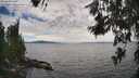 ./images/koeye/fitz-hugh/20260615/fitz-hugh20260615_165501M.jpg