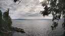 ./images/koeye/fitz-hugh/20260615/fitz-hugh20260615_173001M.jpg