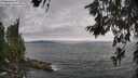 ./images/koeye/fitz-hugh/20260615/fitz-hugh20260615_180501M.jpg