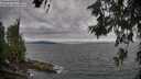 ./images/koeye/fitz-hugh/20260615/fitz-hugh20260615_183001M.jpg