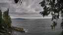 ./images/koeye/fitz-hugh/20260615/fitz-hugh20260615_183501M.jpg
