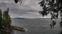./images/koeye/fitz-hugh/20260615/fitz-hugh20260615_184001M.jpg