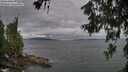 ./images/koeye/fitz-hugh/20260615/fitz-hugh20260615_191501M.jpg