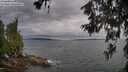 ./images/koeye/fitz-hugh/20260615/fitz-hugh20260615_193501M.jpg