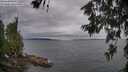./images/koeye/fitz-hugh/20260615/fitz-hugh20260615_194002M.jpg