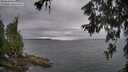 ./images/koeye/fitz-hugh/20260615/fitz-hugh20260615_195001M.jpg