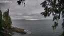 ./images/koeye/fitz-hugh/20260615/fitz-hugh20260615_195501M.jpg