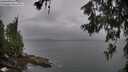 ./images/koeye/fitz-hugh/20260615/fitz-hugh20260615_202502M.jpg
