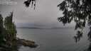 ./images/koeye/fitz-hugh/20260615/fitz-hugh20260615_204001M.jpg