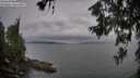 ./images/koeye/fitz-hugh/20260615/fitz-hugh20260615_205002M.jpg