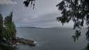 ./images/koeye/fitz-hugh/20260615/fitz-hugh20260615_211501M.jpg