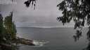 ./images/koeye/fitz-hugh/20260615/fitz-hugh20260615_212502M.jpg