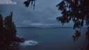./images/koeye/fitz-hugh/20260615/fitz-hugh20260615_223501M.jpg