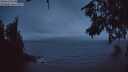 ./images/koeye/fitz-hugh/20260616/fitz-hugh20260616_042501M.jpg
