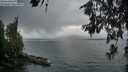 ./images/koeye/fitz-hugh/20260616/fitz-hugh20260616_052501M.jpg