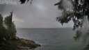 ./images/koeye/fitz-hugh/20260616/fitz-hugh20260616_063501M.jpg