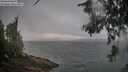 ./images/koeye/fitz-hugh/20260616/fitz-hugh20260616_064001M.jpg