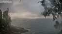 ./images/koeye/fitz-hugh/20260616/fitz-hugh20260616_064502M.jpg