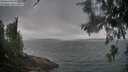 ./images/koeye/fitz-hugh/20260616/fitz-hugh20260616_065501M.jpg