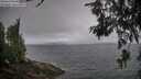 ./images/koeye/fitz-hugh/20260616/fitz-hugh20260616_070501M.jpg
