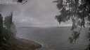 ./images/koeye/fitz-hugh/20260616/fitz-hugh20260616_074501M.jpg