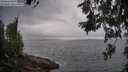./images/koeye/fitz-hugh/20260616/fitz-hugh20260616_081501M.jpg