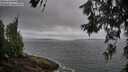 ./images/koeye/fitz-hugh/20260616/fitz-hugh20260616_090001M.jpg