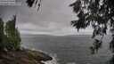 ./images/koeye/fitz-hugh/20260616/fitz-hugh20260616_090501M.jpg
