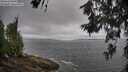 ./images/koeye/fitz-hugh/20260616/fitz-hugh20260616_091002M.jpg