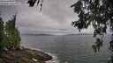 ./images/koeye/fitz-hugh/20260616/fitz-hugh20260616_092001M.jpg