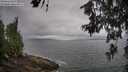 ./images/koeye/fitz-hugh/20260616/fitz-hugh20260616_094001M.jpg