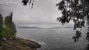 ./images/koeye/fitz-hugh/20260616/fitz-hugh20260616_094501M.jpg