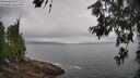 ./images/koeye/fitz-hugh/20260616/fitz-hugh20260616_095001M.jpg