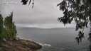 ./images/koeye/fitz-hugh/20260616/fitz-hugh20260616_095502M.jpg