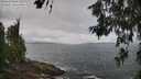 ./images/koeye/fitz-hugh/20260616/fitz-hugh20260616_103001M.jpg