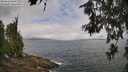 ./images/koeye/fitz-hugh/20260616/fitz-hugh20260616_104001M.jpg